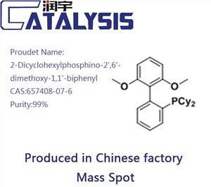 2-Dicyclohexylphosphino-2',6'- Dimethoxy-1,1'-biphenyl